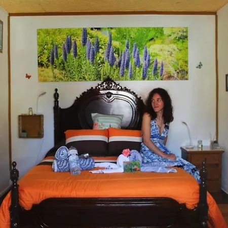 Orange - House Of The Mills * Levada Grande