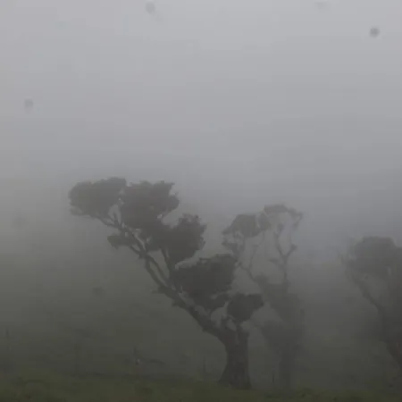 Orange - House Of The Mills Holiday home