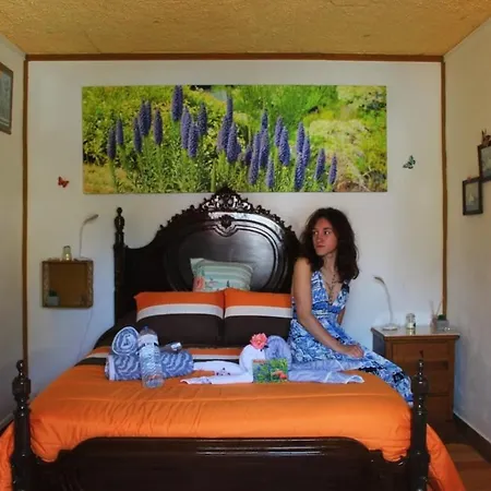 Orange - House Of The Mills