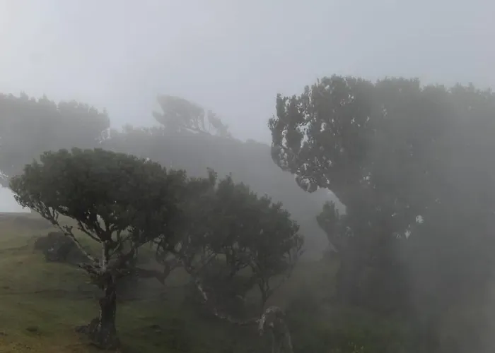 Orange - House Of The Mills Holiday home Levada Grande