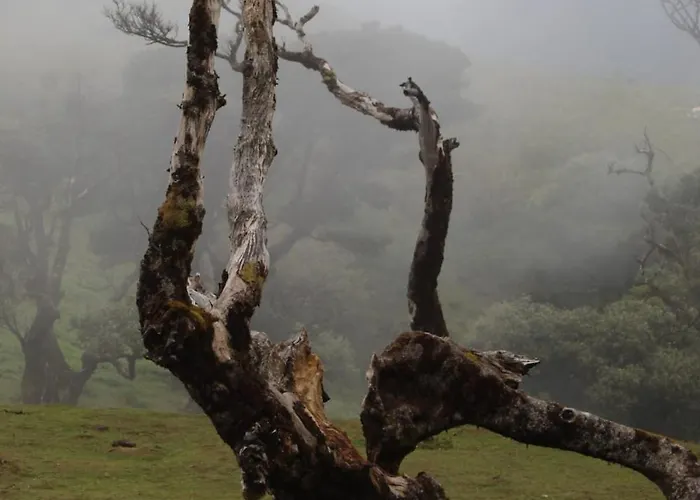 Holiday home Orange - House Of The Mills Levada Grande