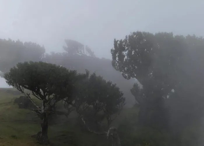 Orange - House Of The Mills Holiday home