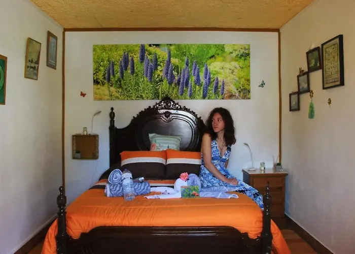 Orange - House Of The Mills